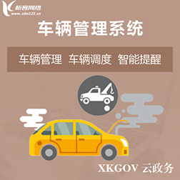 重庆车辆管理系统