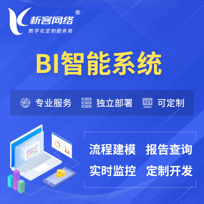 重庆BI智能系统 | BI数据可视化